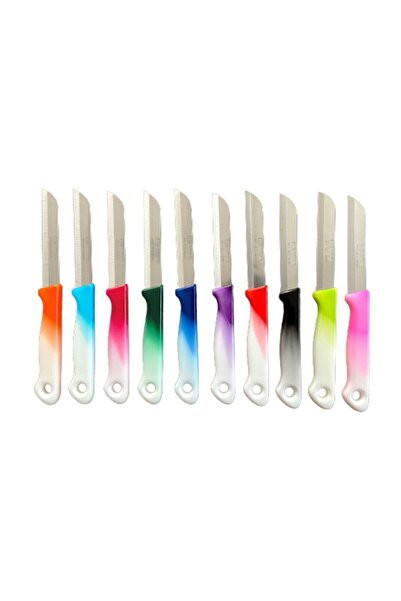 RITTER EBRULİ MEYVE BIÇAK ( 1 ADET)